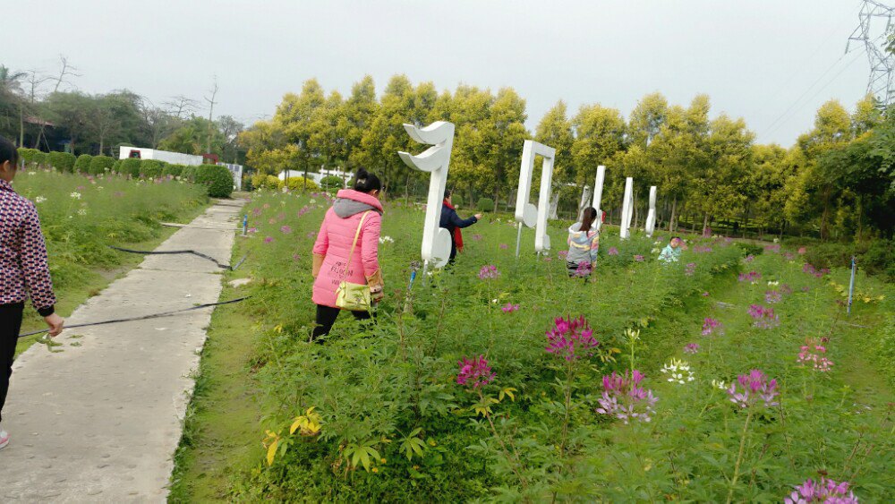 花都香草世界