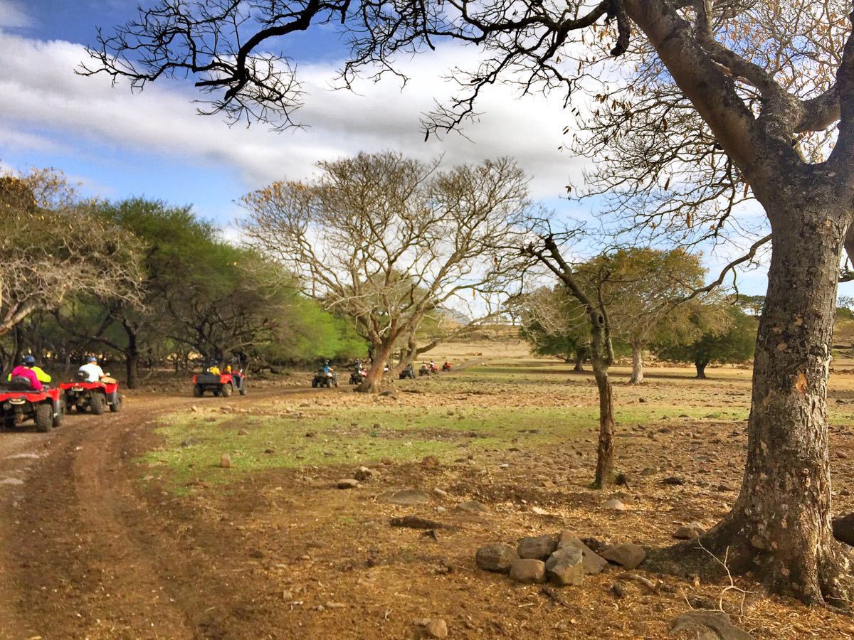 【攜程攻略】毛里求斯卡塞拉自然公園景點,鳥公園最大