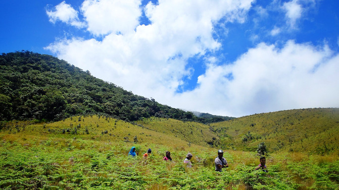 山上美景视频 CggYGlbT5VSAGLR4ABAqf0I5Wt4901_R_671_10000_Q90.jpg?proc=autoorient