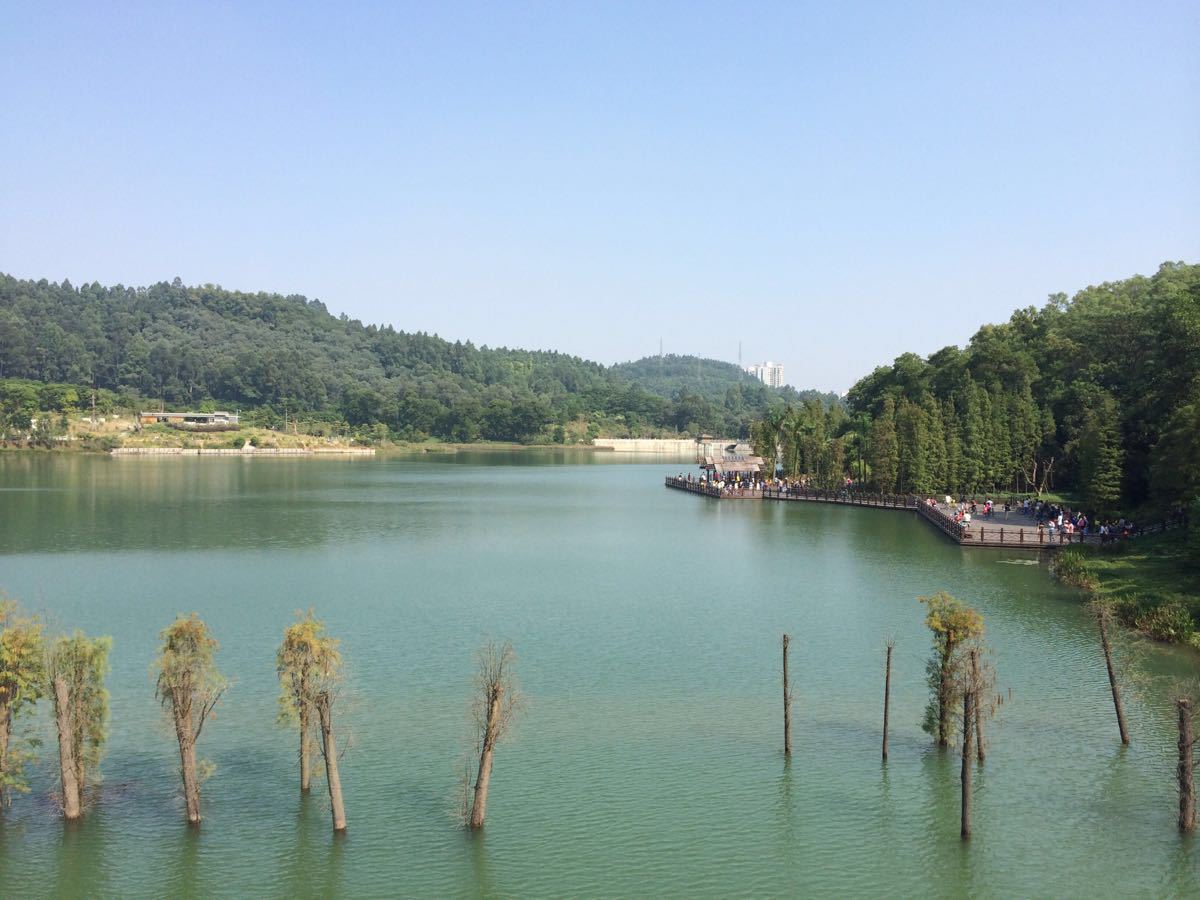 大夫山森林公園