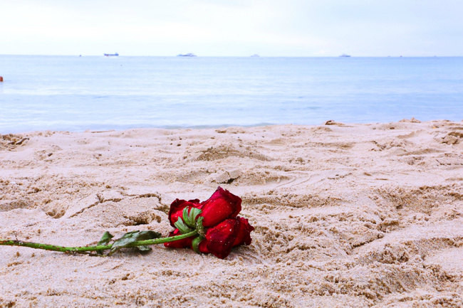 感观世界的美丽,拍摄三亚的风趣