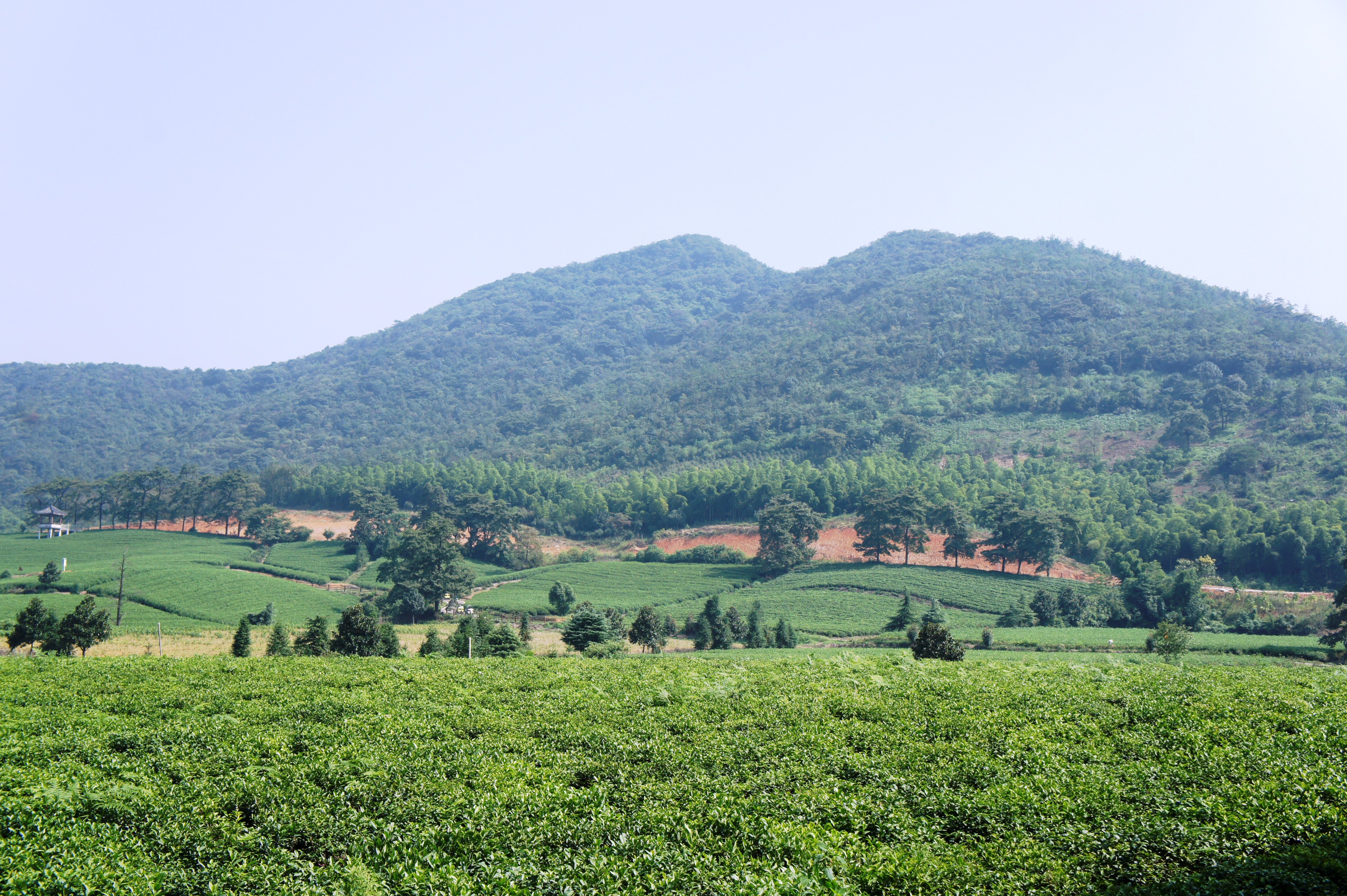 龙池山