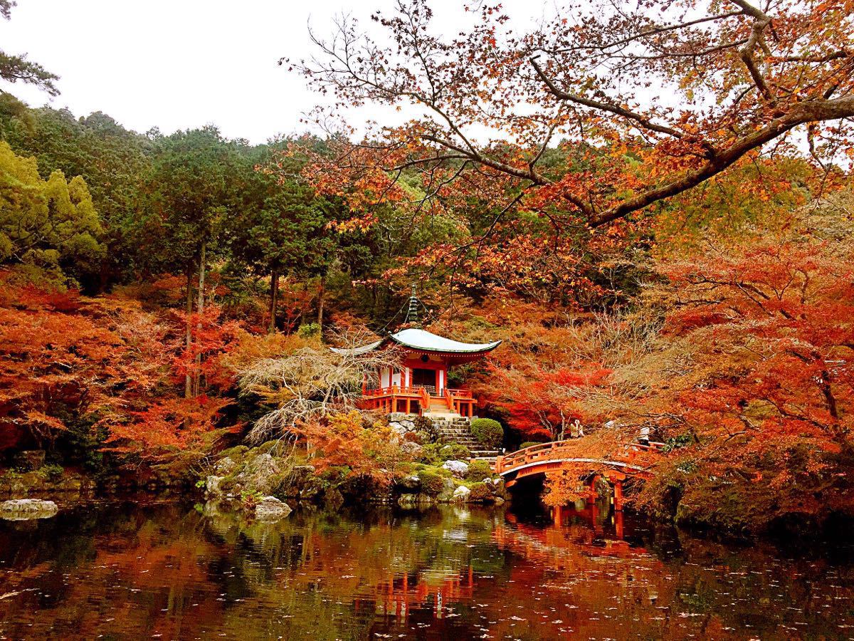 醍醐寺