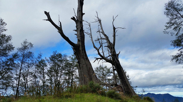 2015的冬天,我们在台湾(12天环岛自由行)
