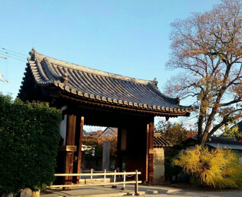 2019元兴寺_旅游攻略_门票_地址_游记点评,奈良旅游景点推荐 去哪儿