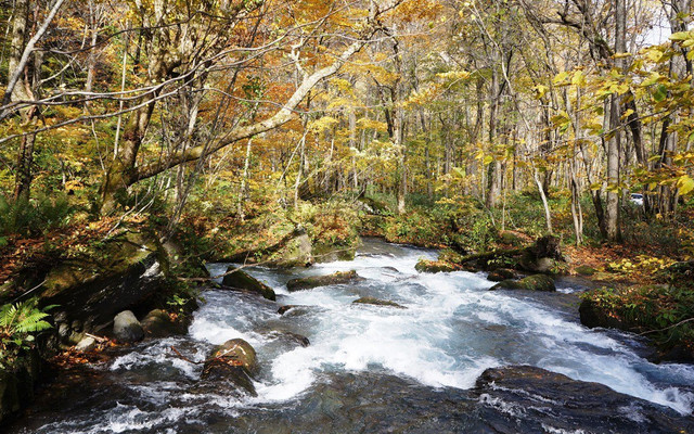 度假 十和田莊 到十和田湖看潮起潮落 到奥入濑赏红叶迎风 青森县游记攻略 携程攻略