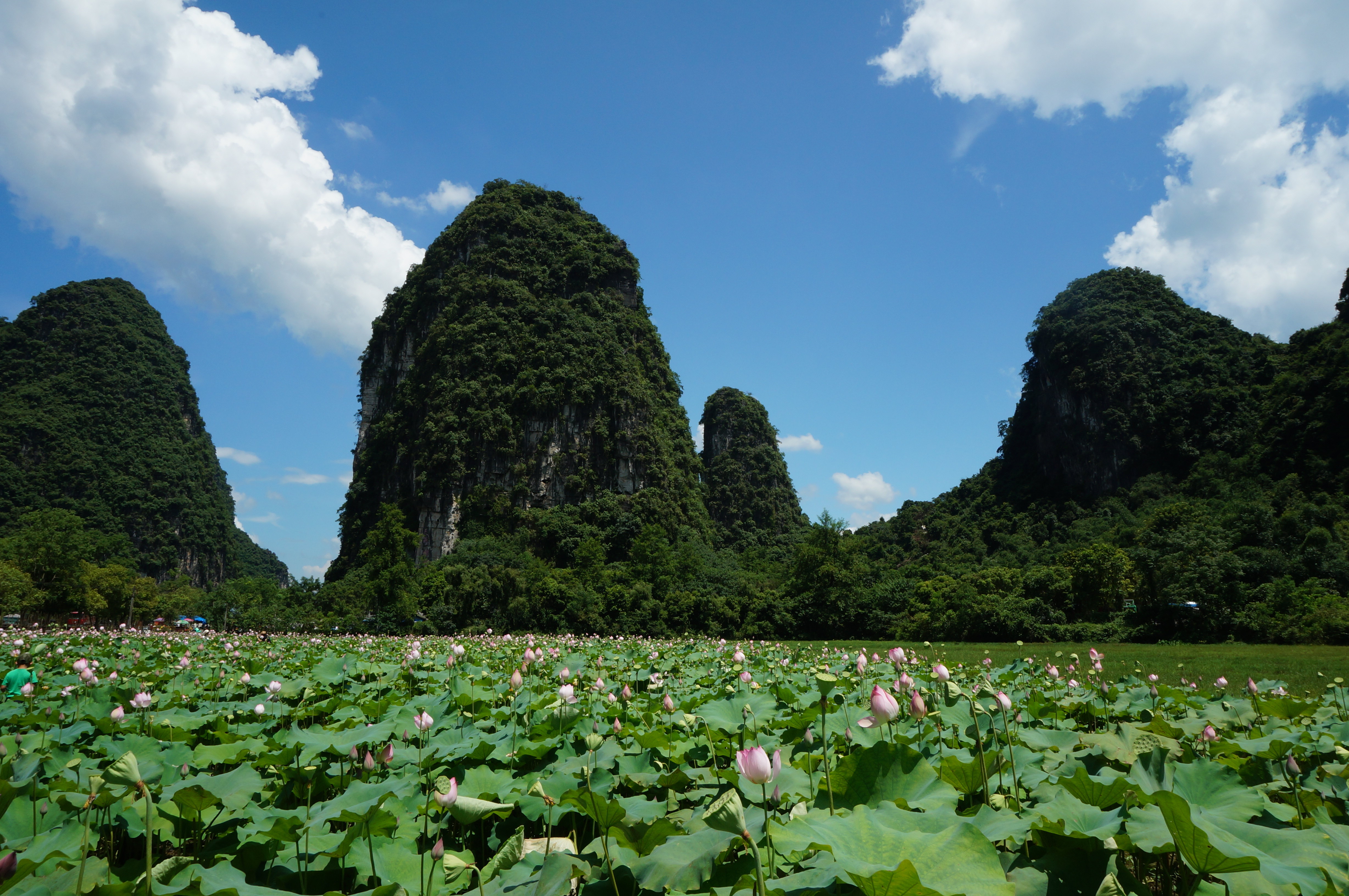 【携程攻略】阳朔十里画廊适合朋友出游旅游吗,十里画廊朋友出游景点