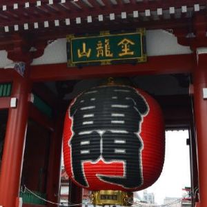 21金龙山浅草饼本铺 旅游攻略 门票 地址 问答 游记点评 东京旅游旅游景点推荐 去哪儿攻略