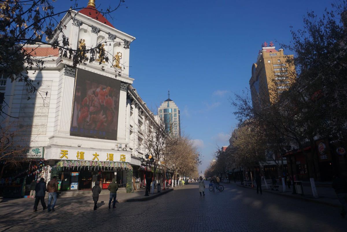 杭州湾新区中央大街图片