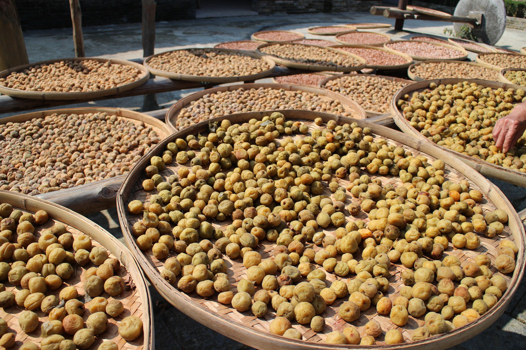 豆豉是黄姚的最著名的特产之一，郭家祠堂旁有郭氏豆豉厂。
