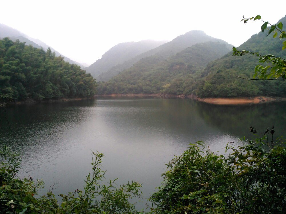 2019九華天池_旅遊攻略_門票_地址_遊記點評,池州旅遊景點推薦 - 去