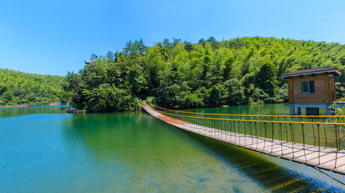 江苏宜兴竹海一日游【徒步健身 竹海吸氧 赏斑