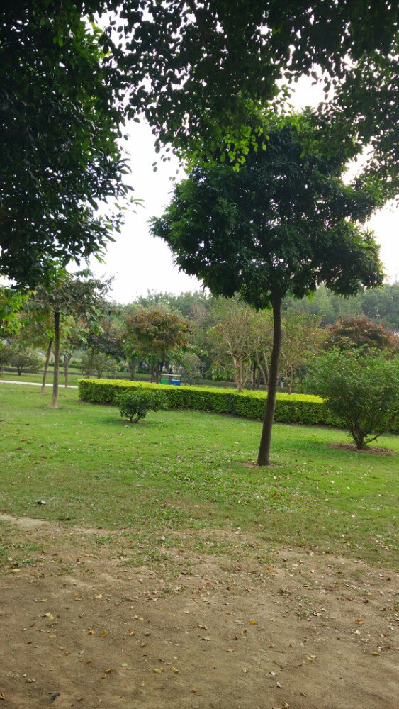 虎門鎮虎門公園好玩嗎,虎門鎮虎門公園景點怎麼樣_點評_評價【攜程