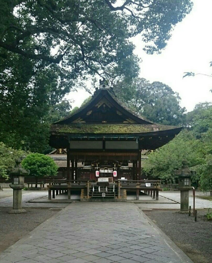 2019平野神社_旅游攻略_门票_地址_游记点评,京都旅游景点推荐 去