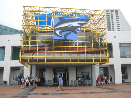 2023奥杜邦美洲水族馆游玩攻略,这是一个很棒的水族馆,做得非