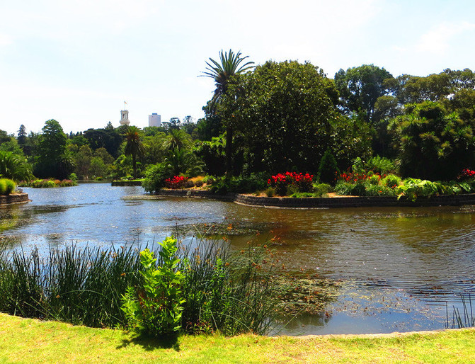 澳大利亚新西兰旅游纪实12-墨尔本皇家植物园