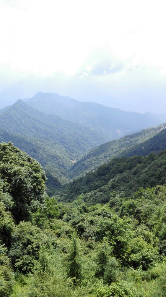 2019南宮山國家森林公園_旅遊攻略_門票_地址_遊記點評,嵐皋旅遊景點