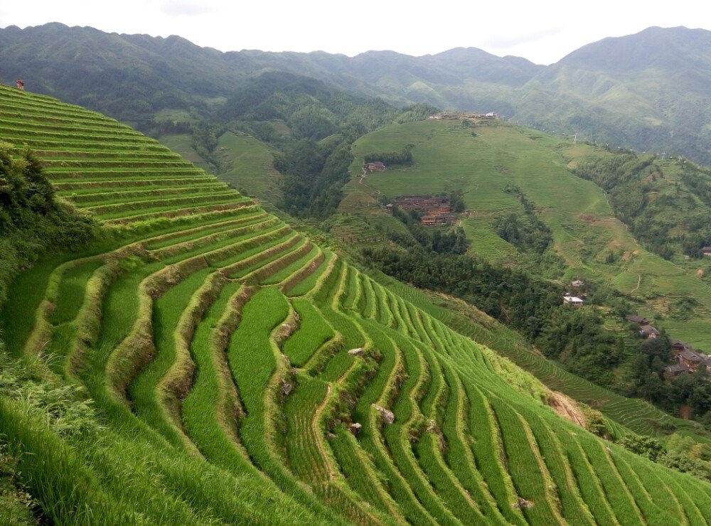 龍脊大寨