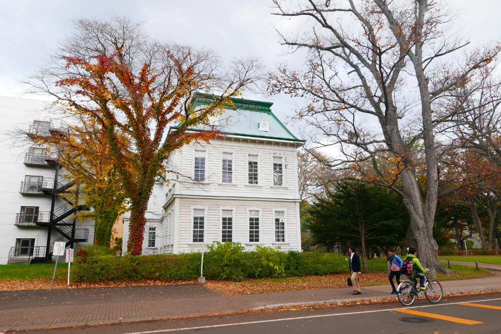 北海道大學