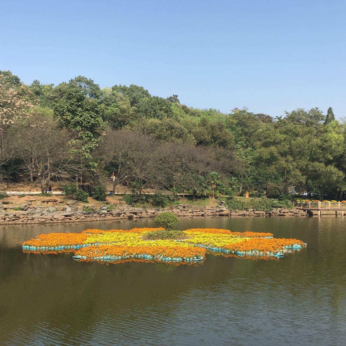 顧村公園