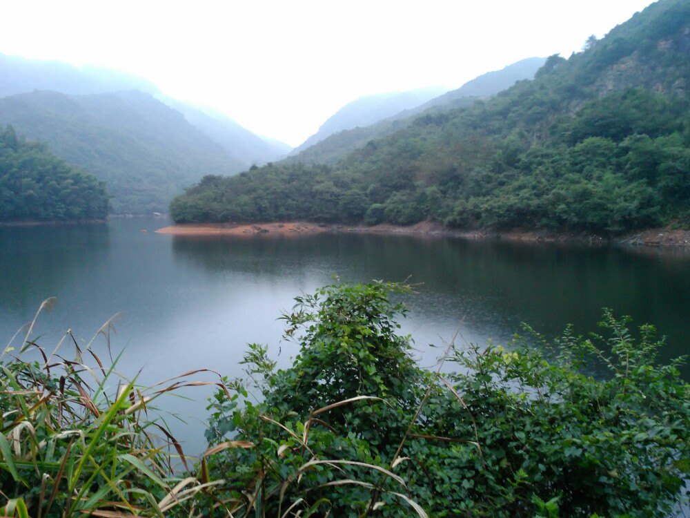 2019九華天池_旅遊攻略_門票_地址_遊記點評,池州旅遊景點推薦 - 去