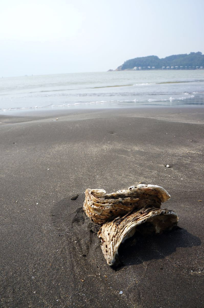 黑沙海滩