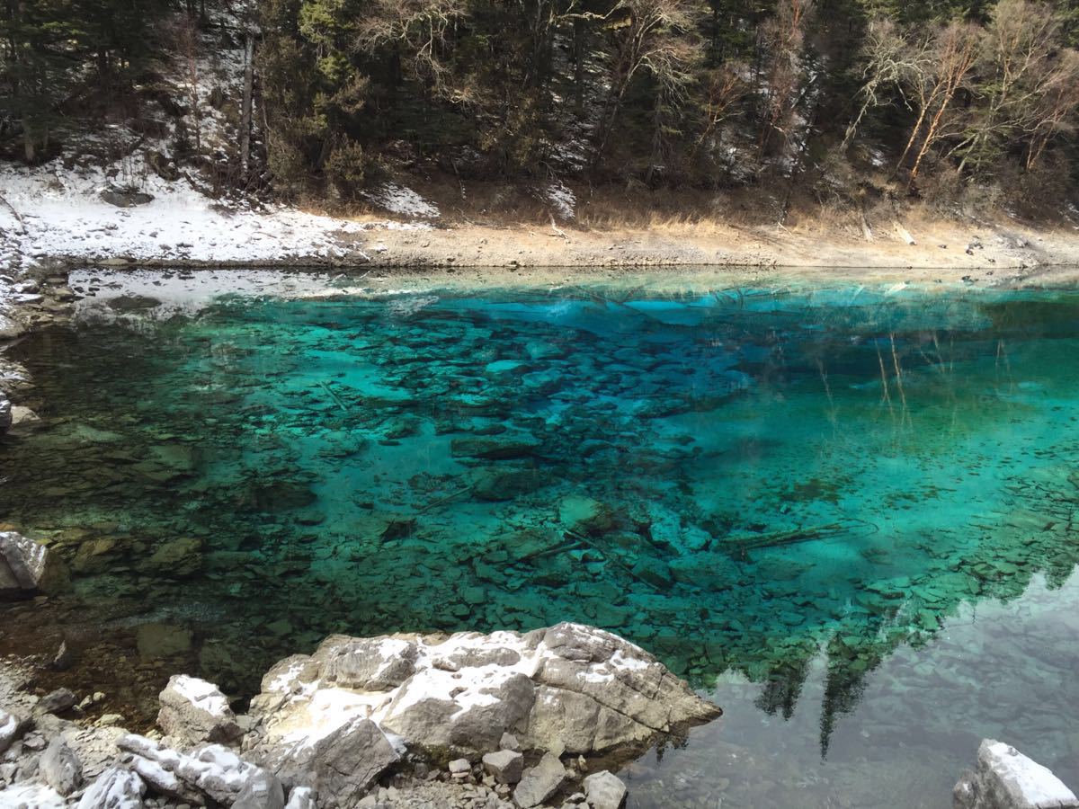 2019五彩池_旅遊攻略_門票_地址_遊記點評,九寨溝旅遊景點推薦 - 去