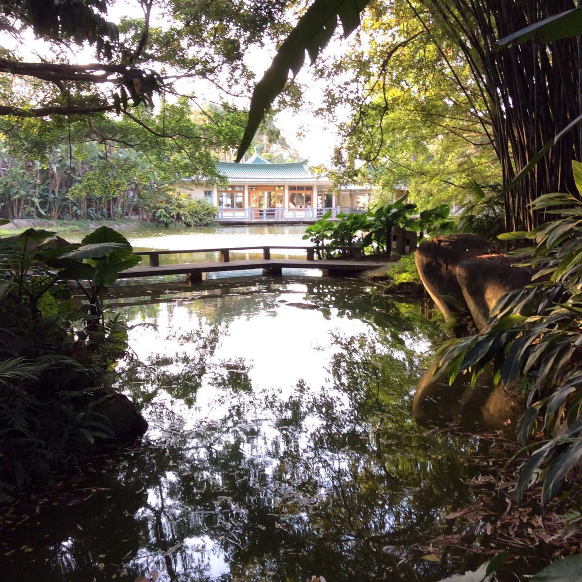 廈門園林植物園旅遊景點攻略圖