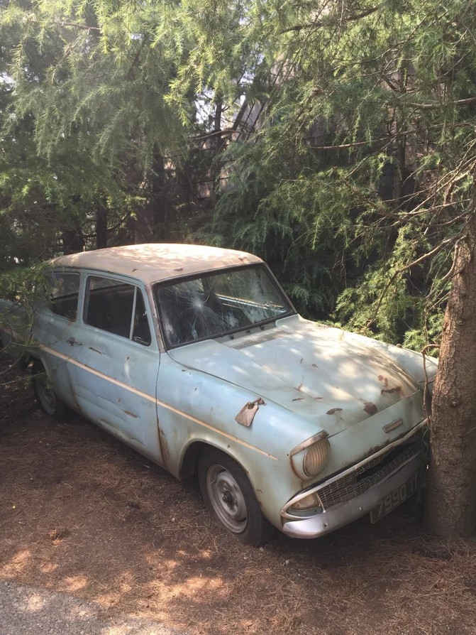 美食美景文化皆可得--暑假日本大阪京都箱根东