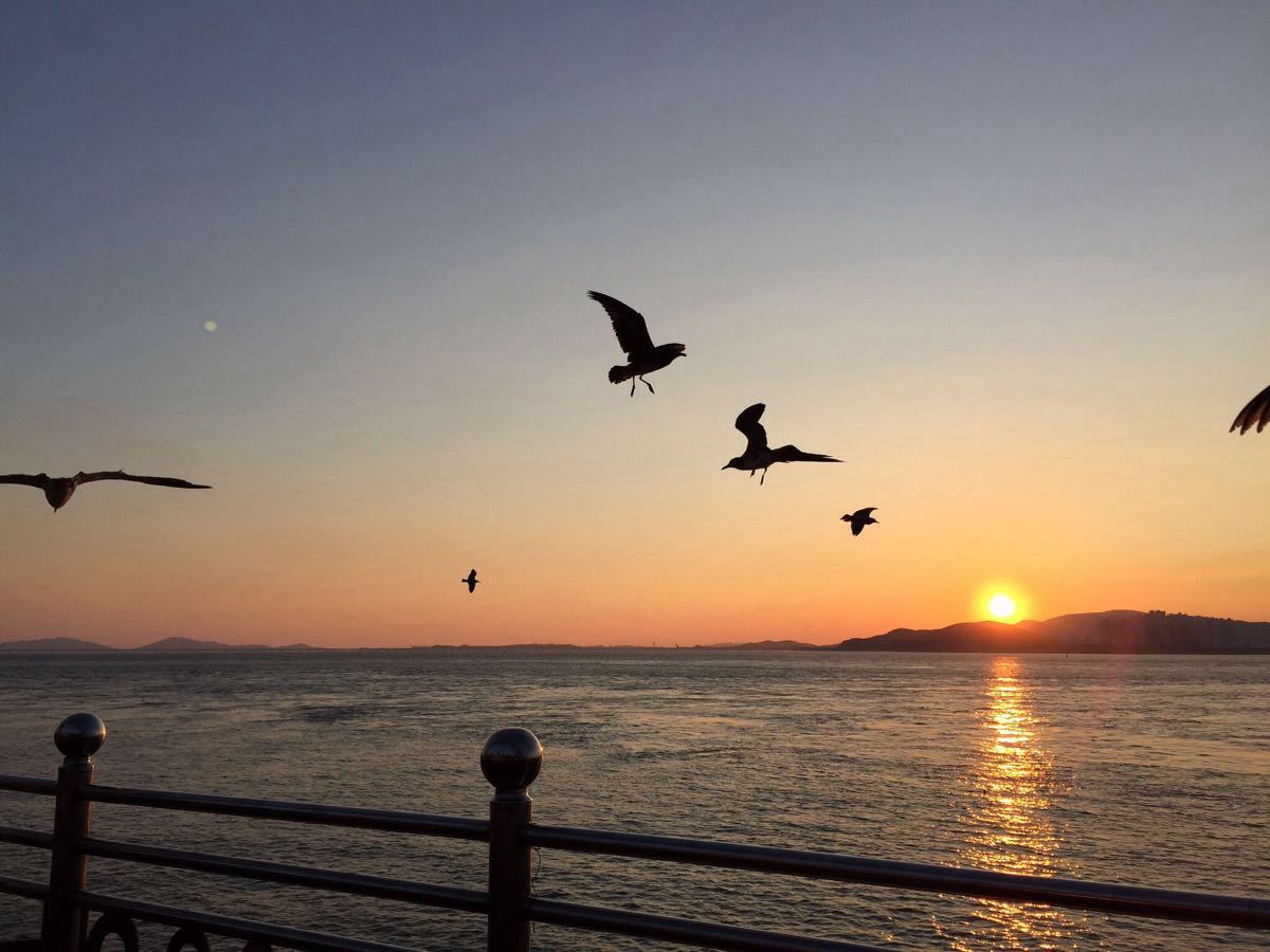 2019月尾岛_旅游攻略_门票_地址_游记点评,仁川旅游景点推荐 - 去哪儿