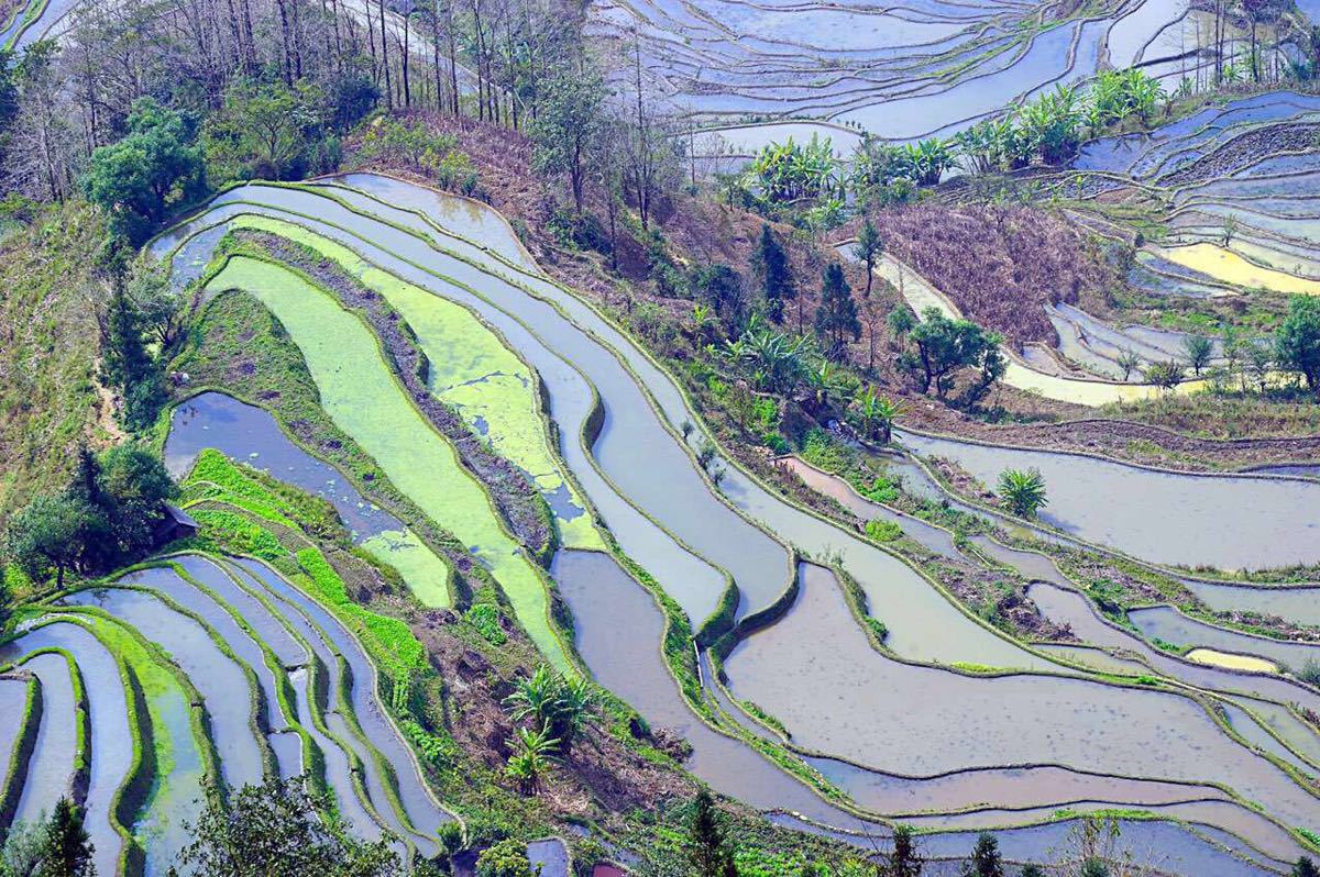 【攜程攻略】元陽元陽哈尼梯田景點,元陽梯田住著哈尼族,這裡民風還算