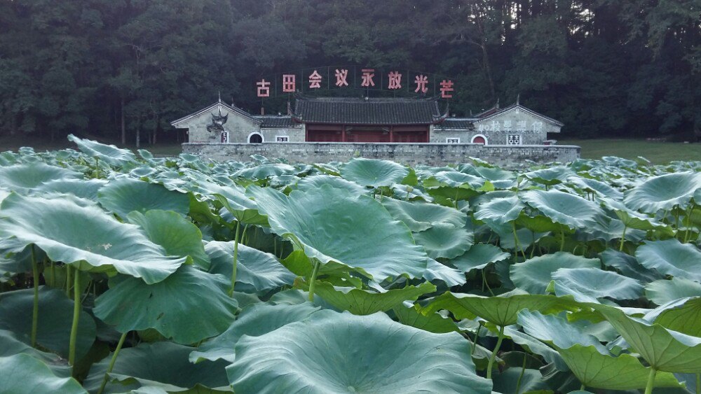 【攜程攻略】福建龍巖上杭古田會議舊址好玩嗎,福建古田會議舊址景點