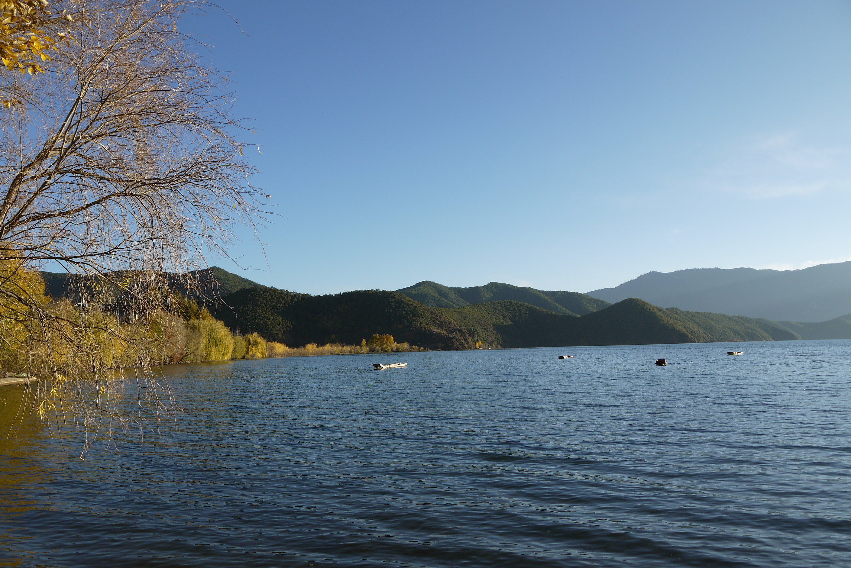 2019情人滩_旅游攻略_门票_地址_游记点评,泸沽湖旅游