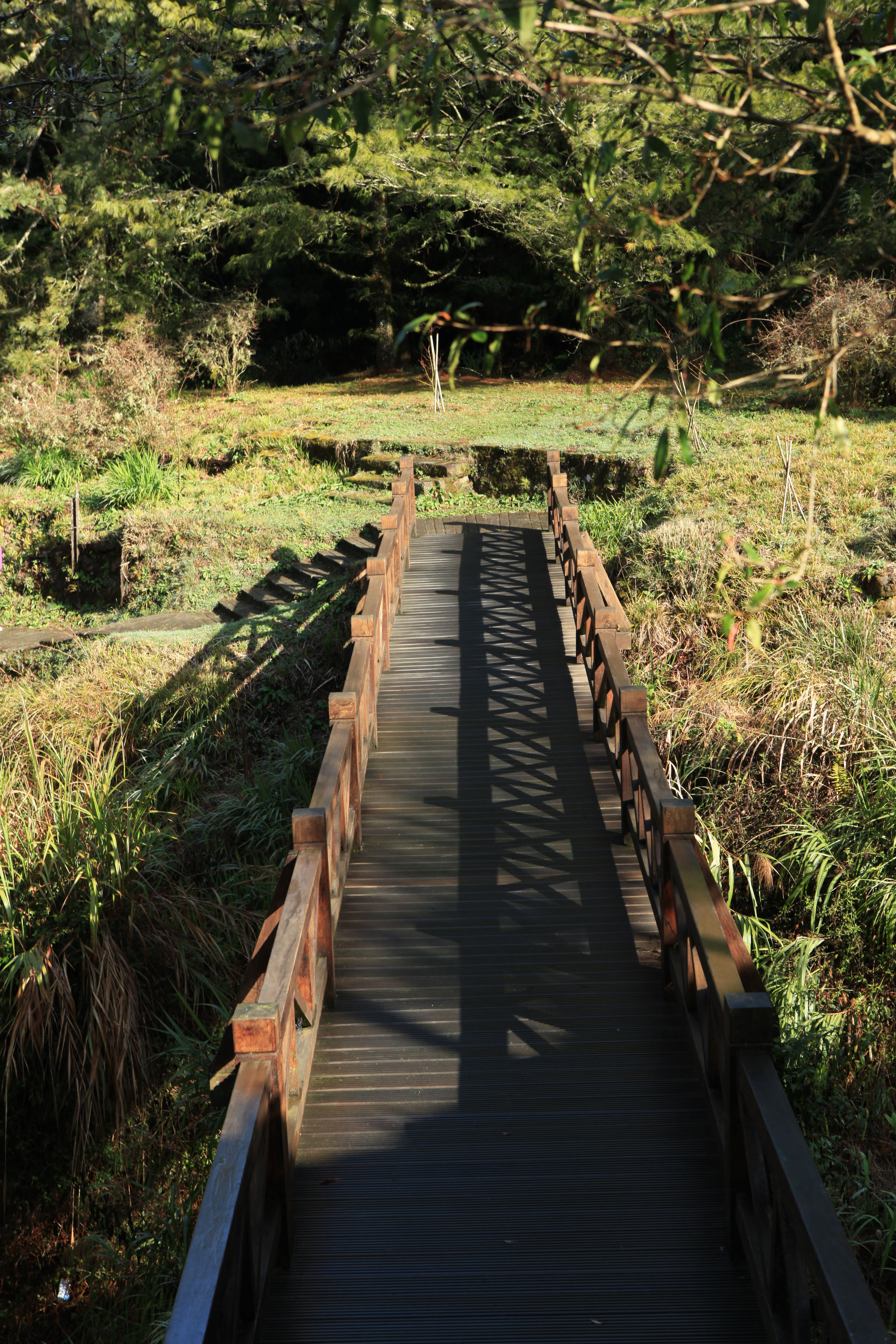 阿里山国家风景区