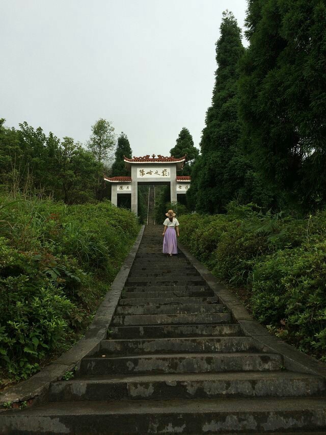 【攜程攻略】崇義陽明山國家森林公園景點,崇義陽嶺,呼吸著稱之為世界