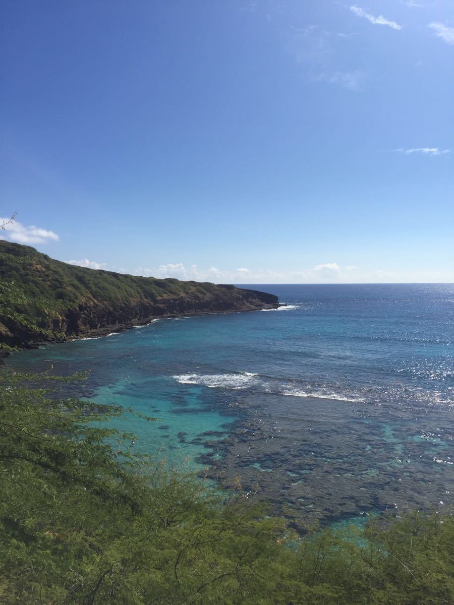 恐龙湾