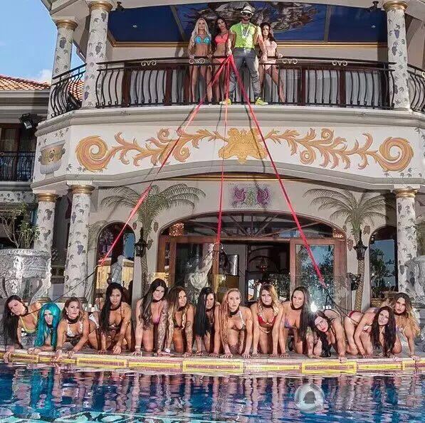 海上田园桃林苑