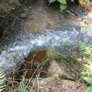 厦门龙谷休闲山庄攻略,龙谷休闲山庄门票\/游玩