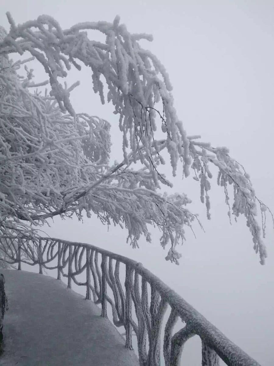 張家界多少度天門山上有雪景看