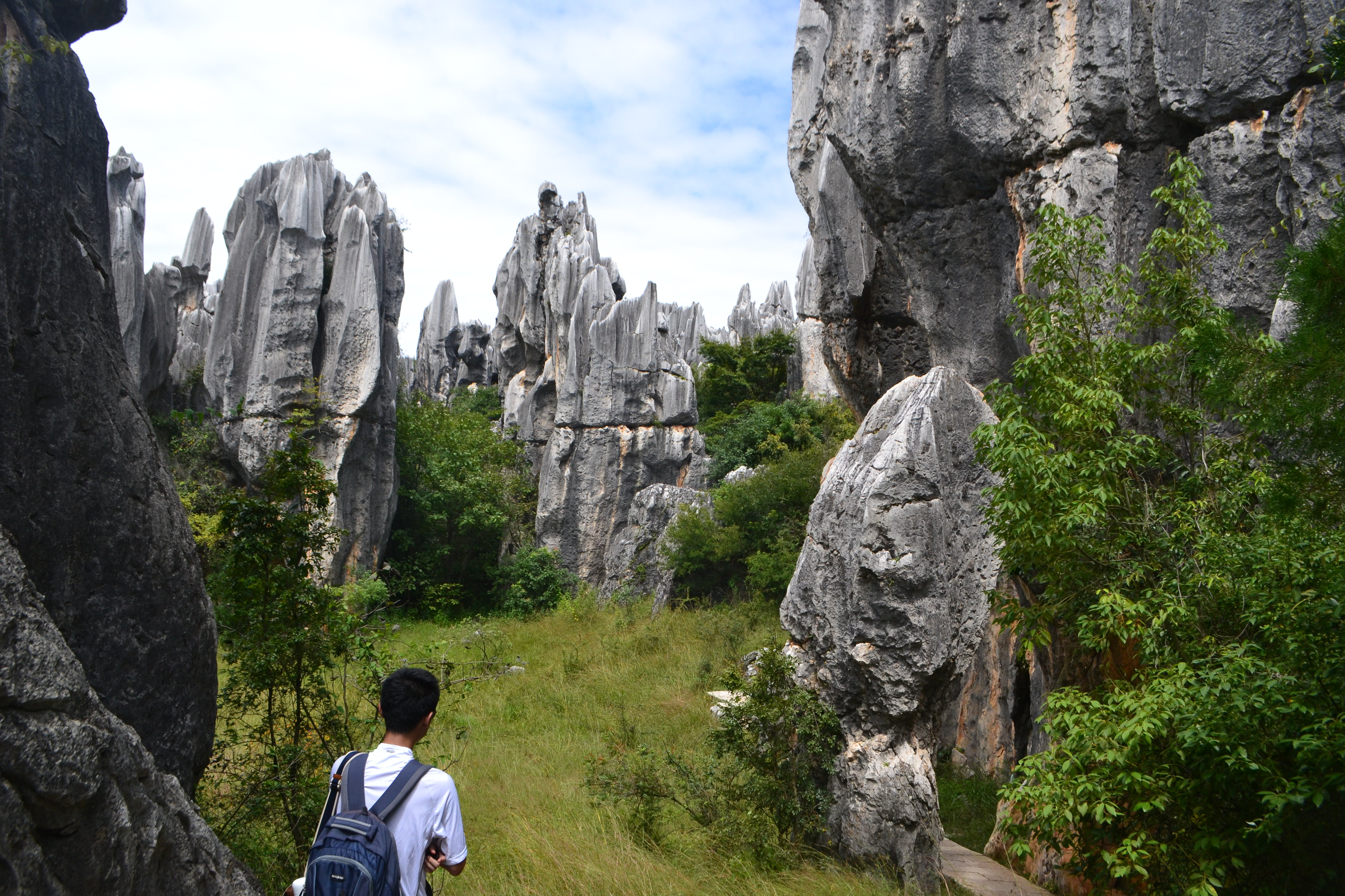 2018乃古石林_旅遊攻略_門票_地址_遊記點評,昆明旅遊景點推薦 - 去