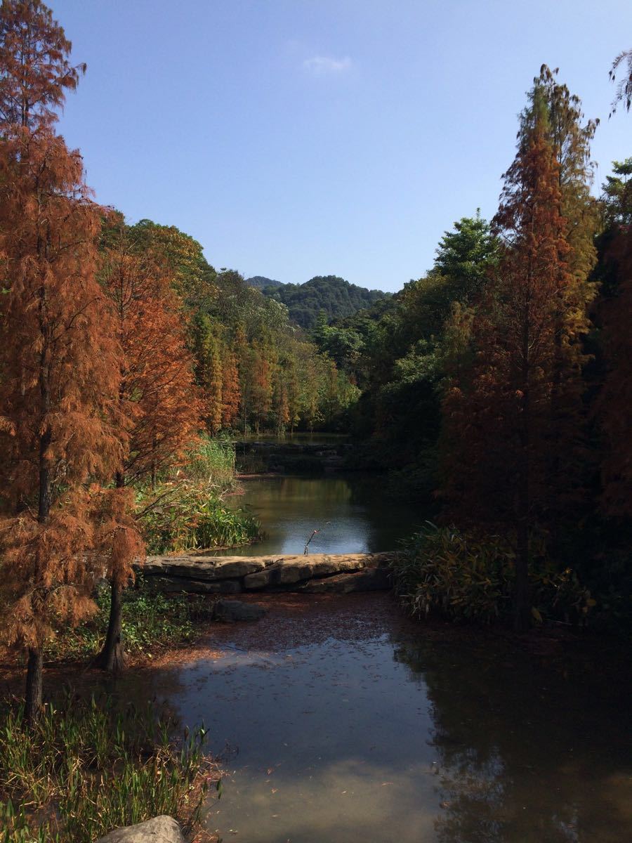 廣州云溪生態公園好玩嗎,廣州云溪生態公園景點怎麼樣_點評_評價