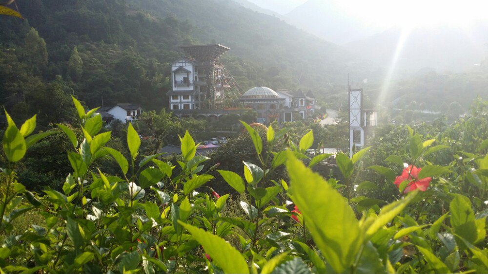 天露山旅遊度假區_旅遊攻略_門票_地址_遊記點評,新興旅遊景點推薦