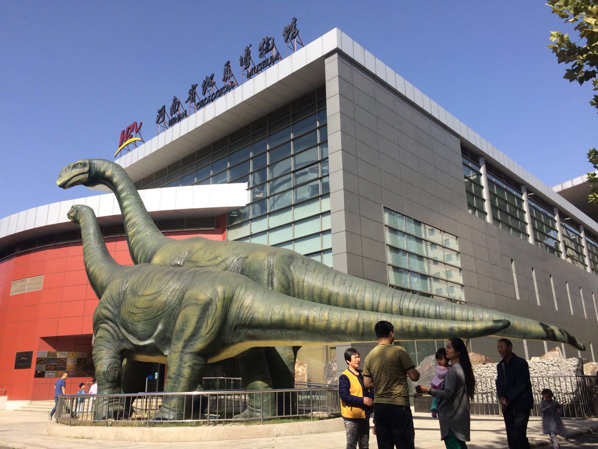 2023河南自然博物馆游玩攻略,值得过去看看,有恐龙化石,