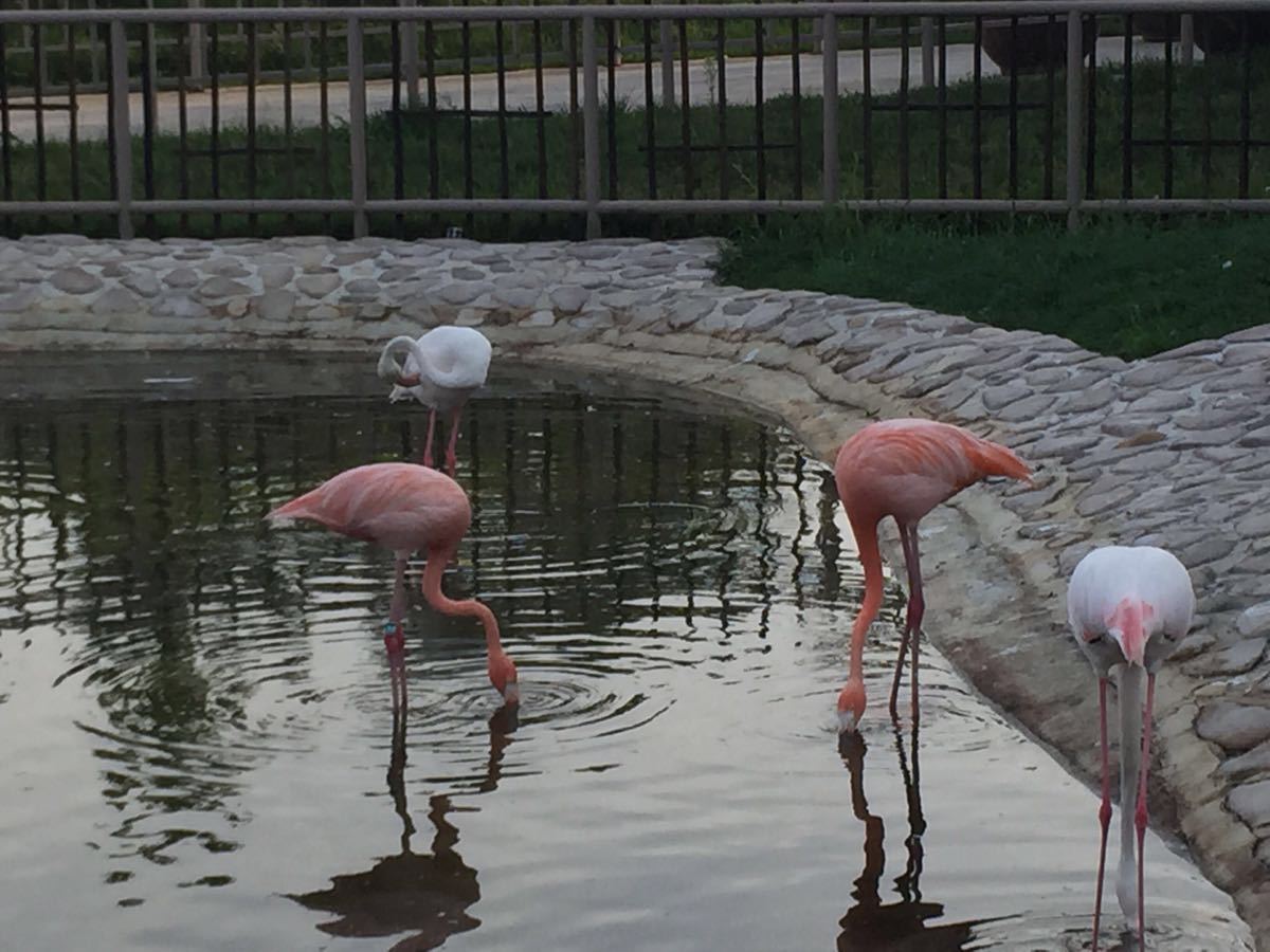 龍沙動植物園