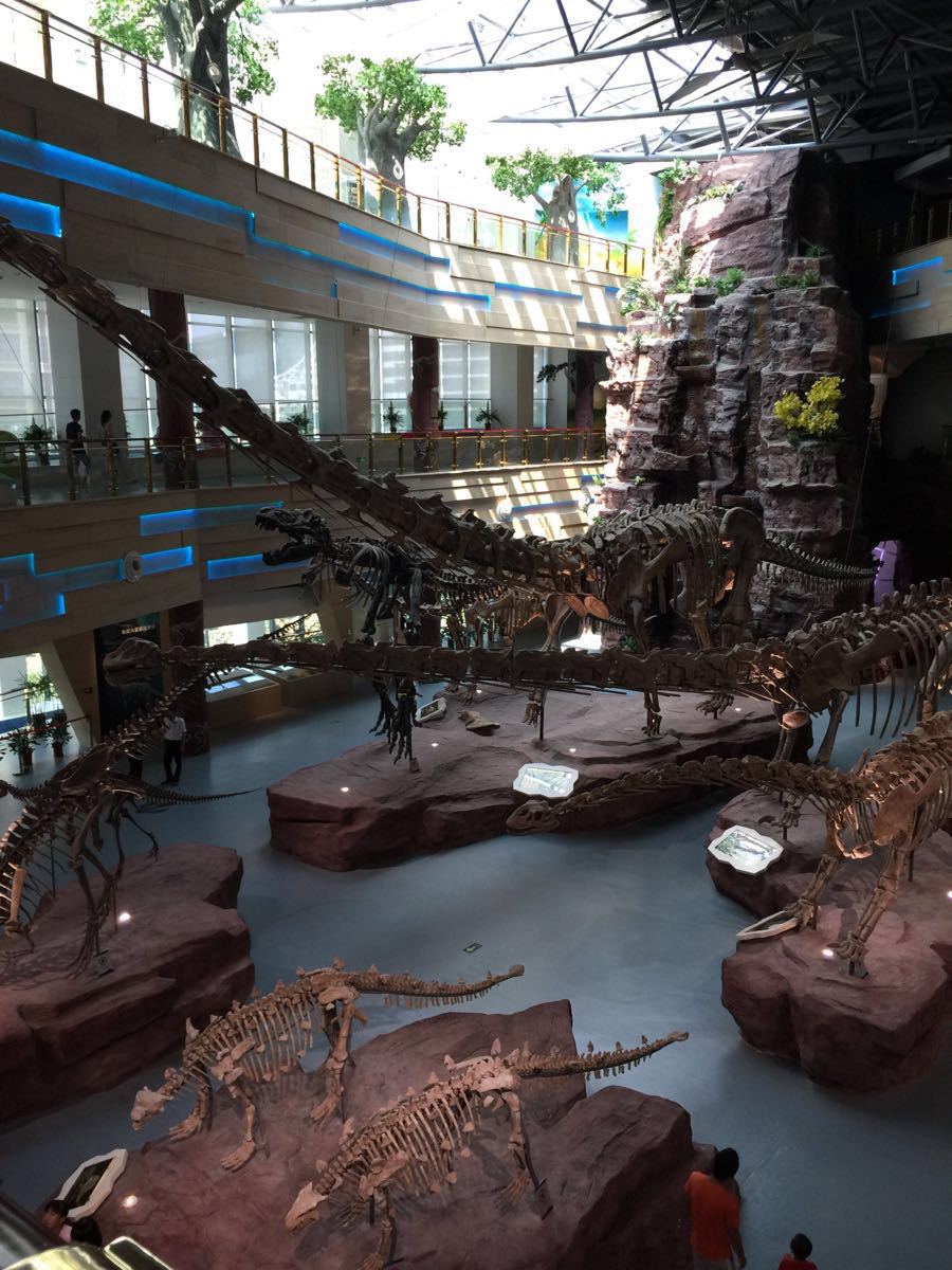 2020安徽省地质博物馆