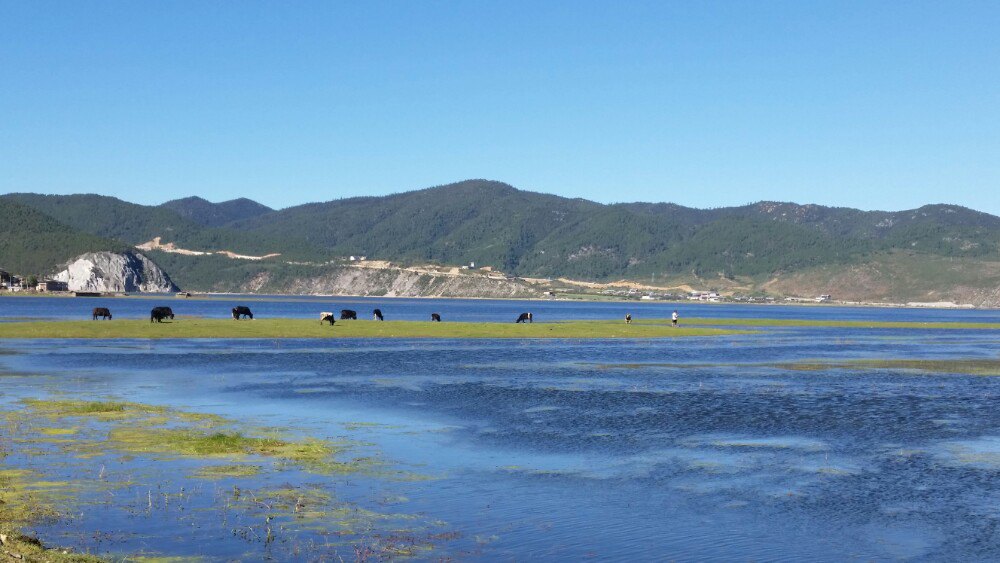 纳帕海海拔图片