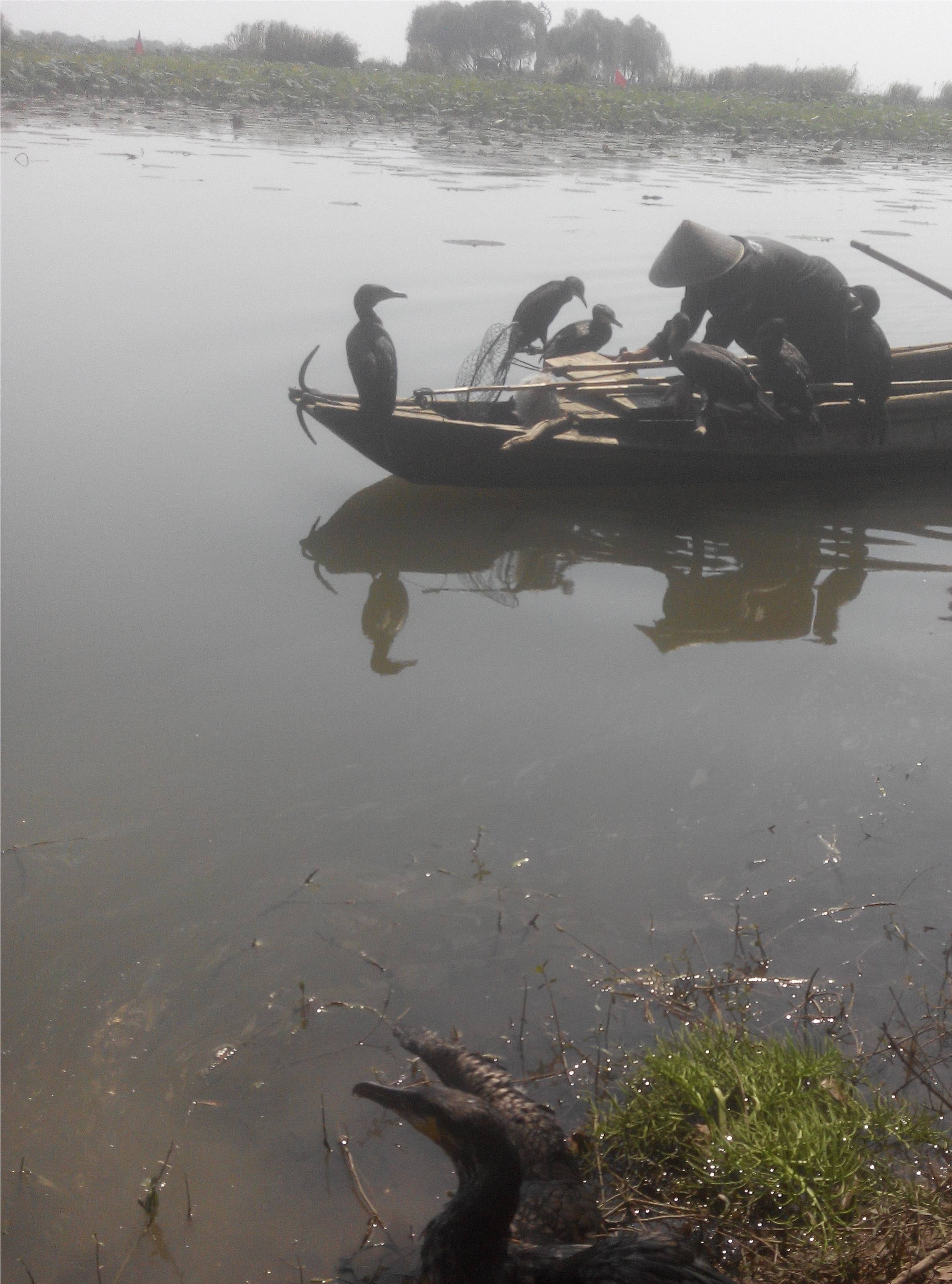 洪湖守拙园度假村