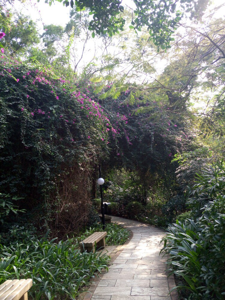 2021皇岗公园游玩攻略,不错的,空气很清新,也有健. 【去哪儿攻略】