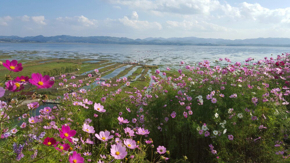 浪漫草海风景区