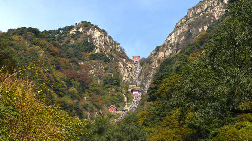 泰安泰山風景區 中天門 南天門 玉皇頂一日遊【私家包車 行程自由